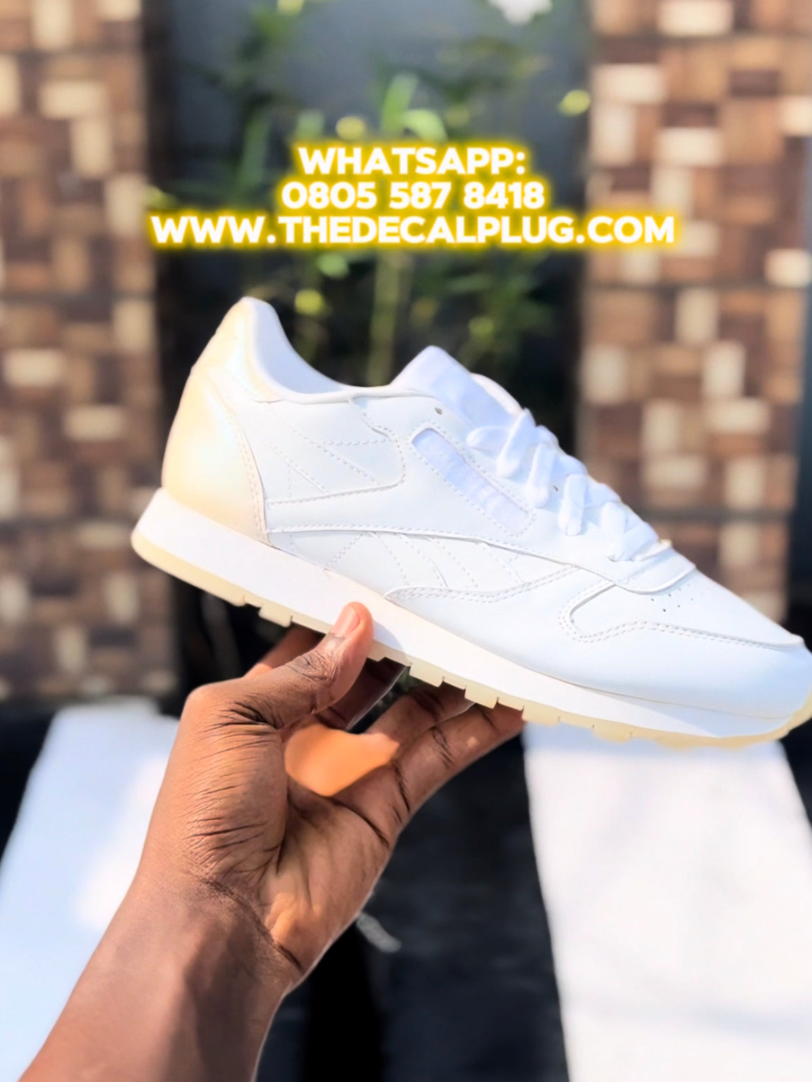 Reebok femmes classic sneaker