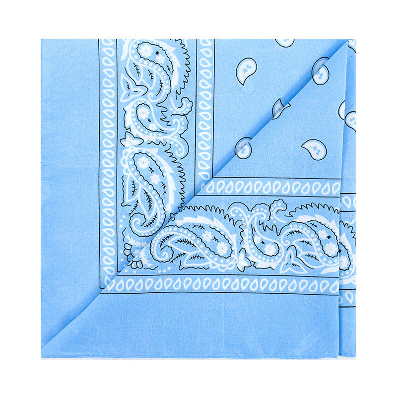 Unisex Paisley Headband