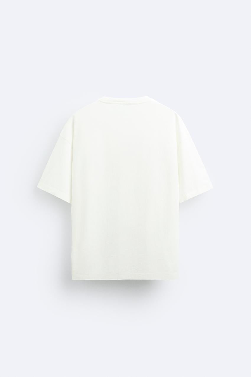 ZARA OBVIOUSLY T SHIRT