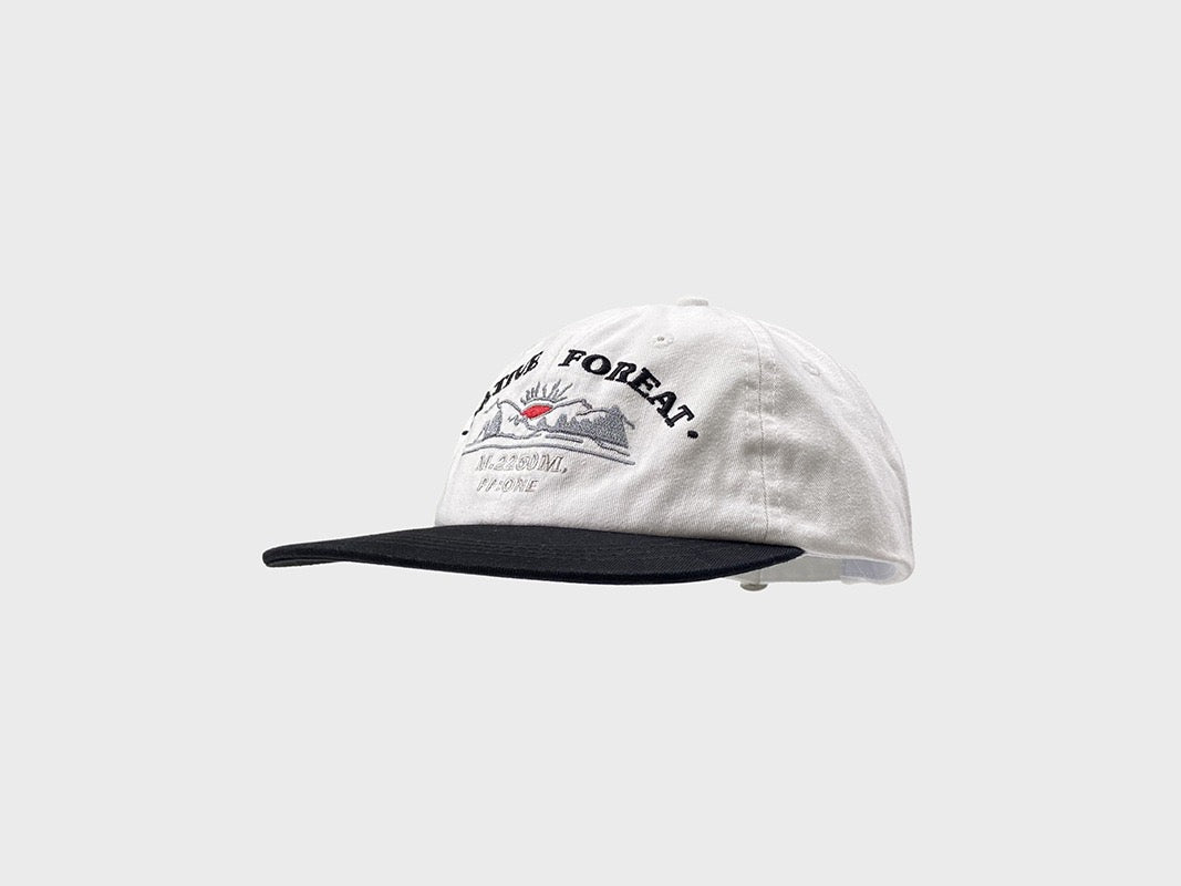 PP native dad hat