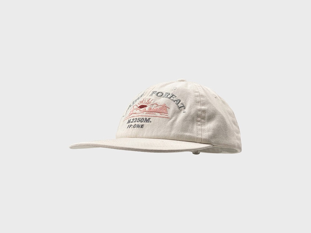PP native dad hat