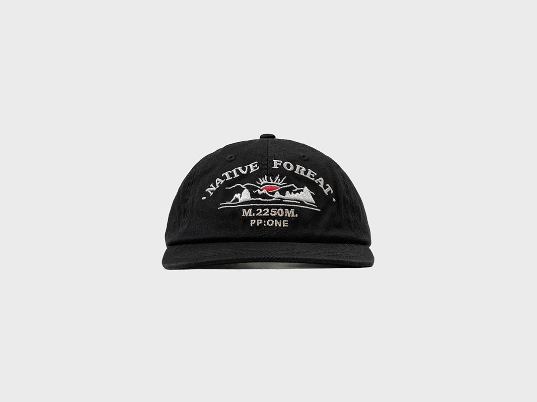 PP native dad hat