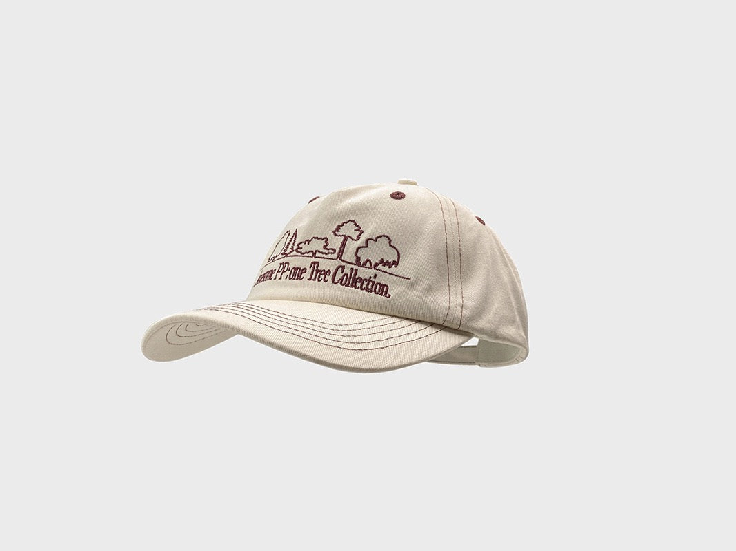 PP contrast stitch dad hat