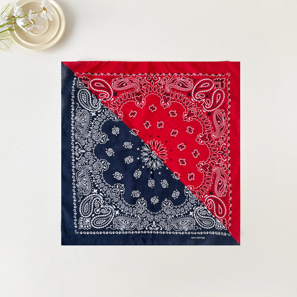 Unisex Paisley Headband