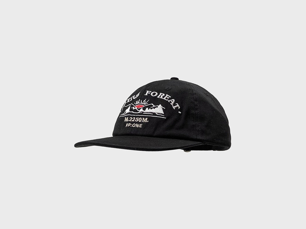 PP native dad hat