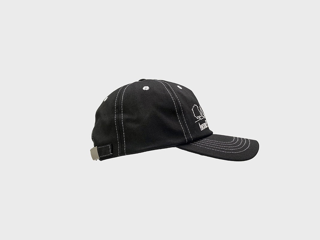 PP contrast stitch dad hat