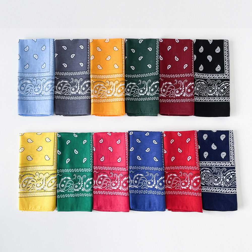 Unisex Paisley Headband