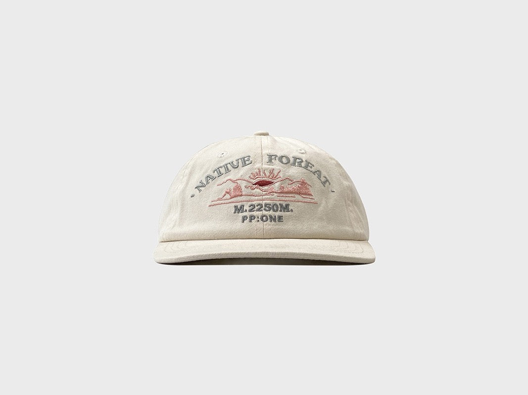PP native dad hat