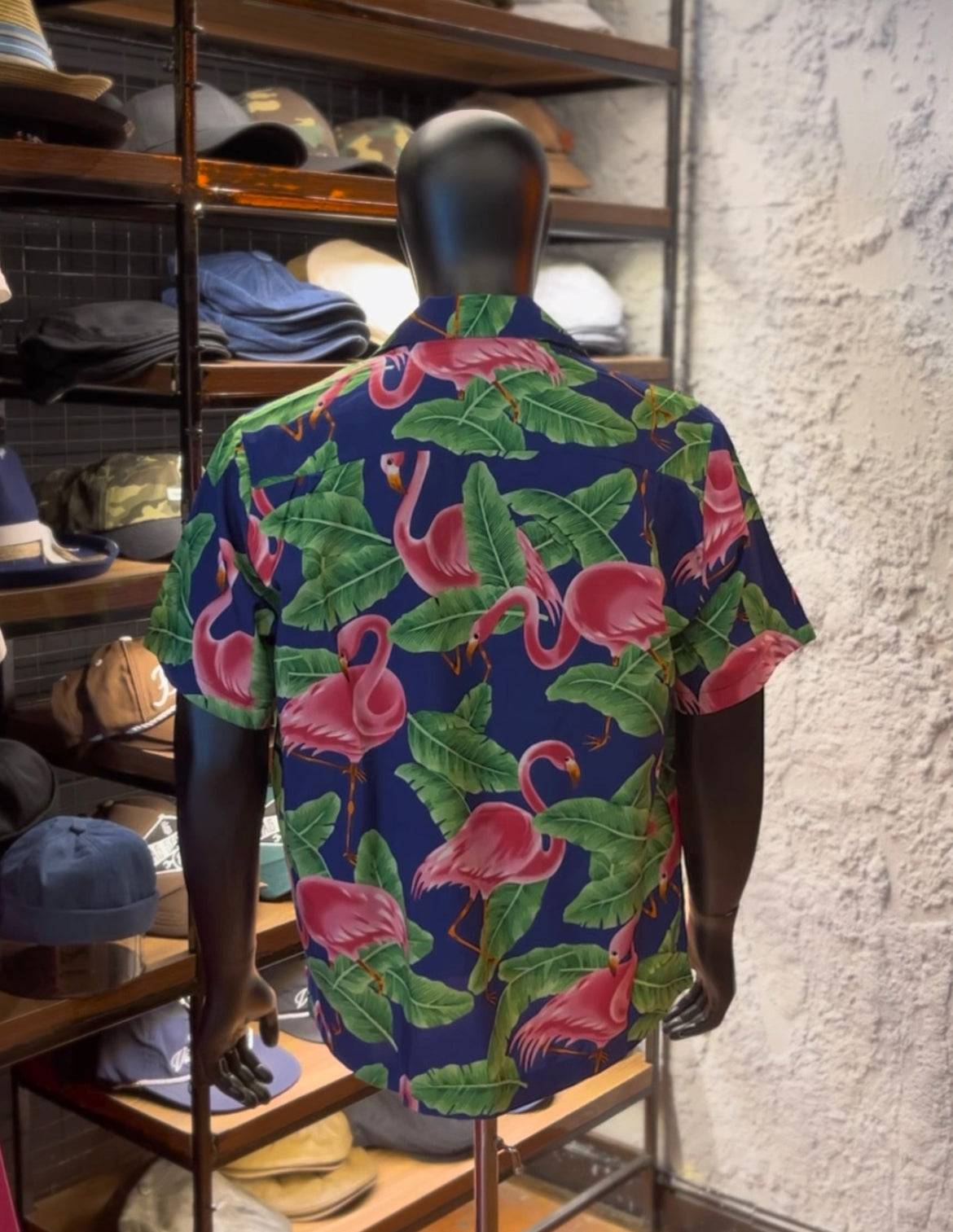 Alvish revere neck shirt
Flamingo
