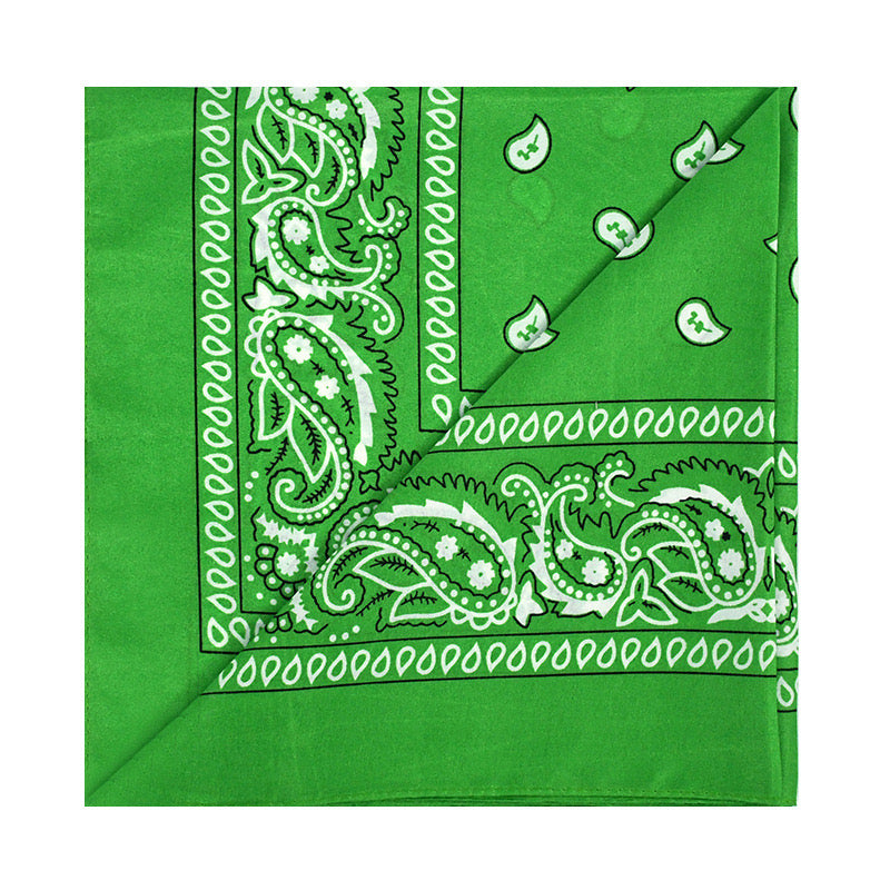 Unisex Paisley Headband