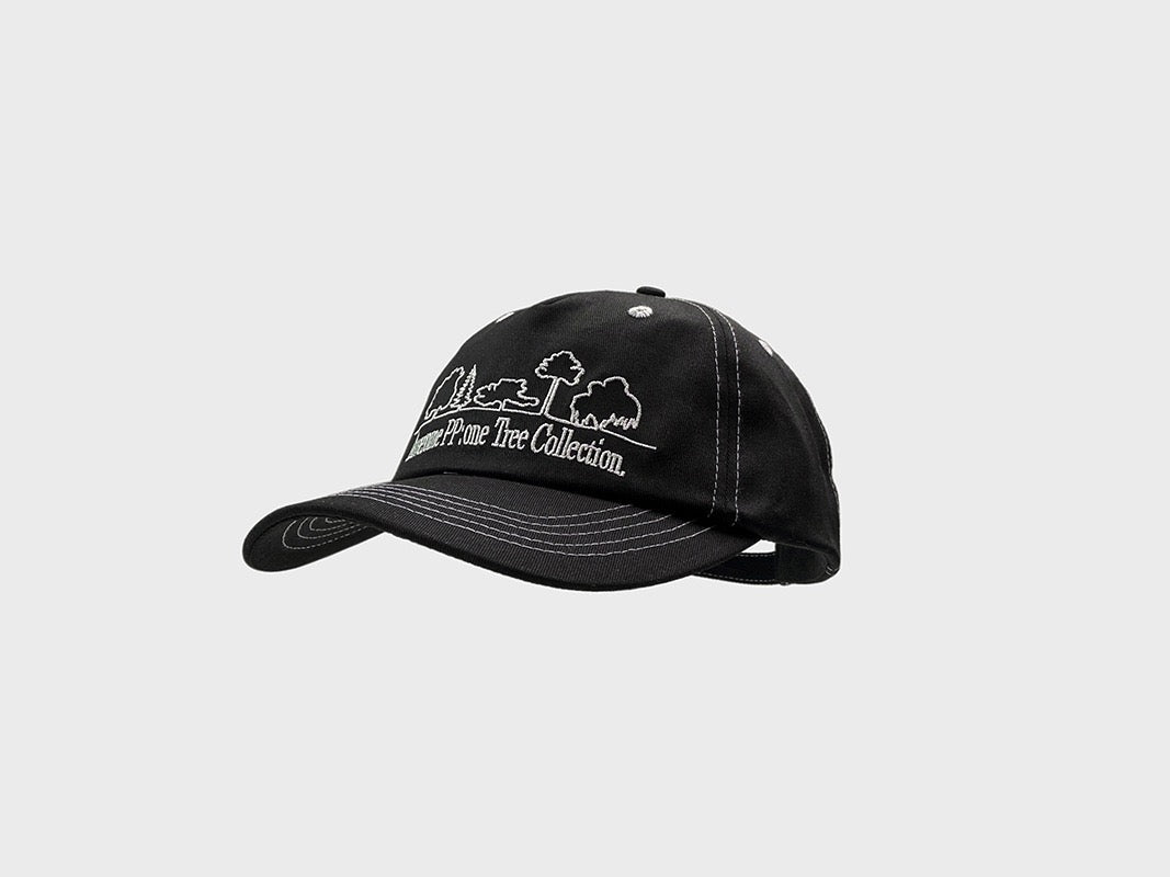 PP contrast stitch dad hat