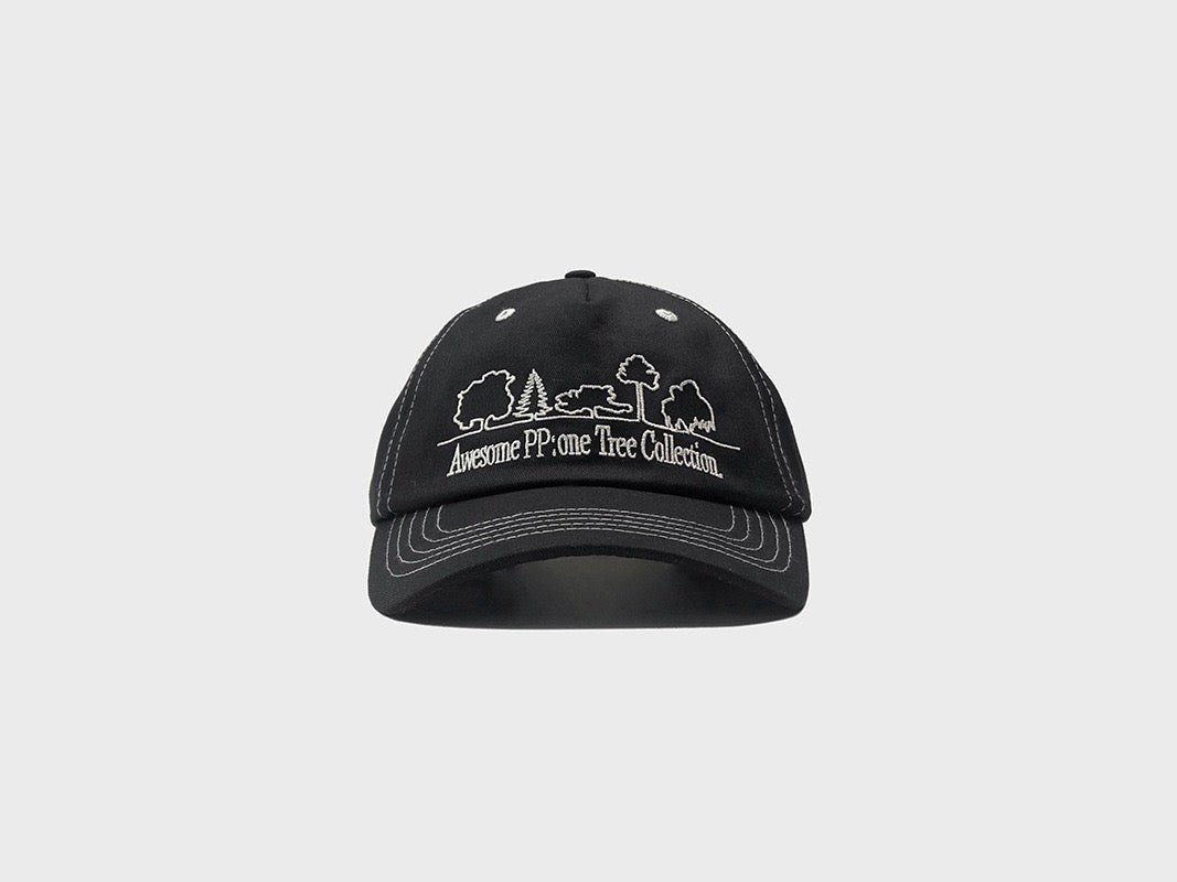 PP contrast stitch dad hat