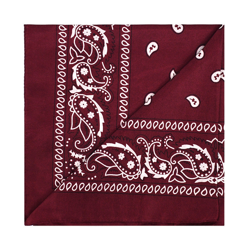 Unisex Paisley Headband