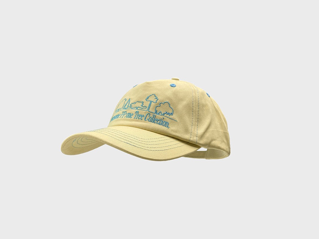 PP contrast stitch dad hat