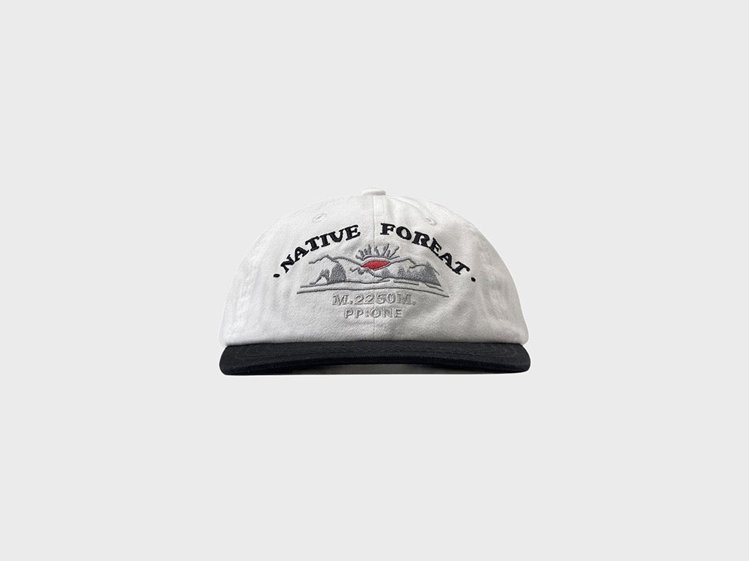 PP native dad hat