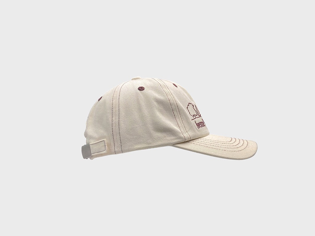 PP contrast stitch dad hat