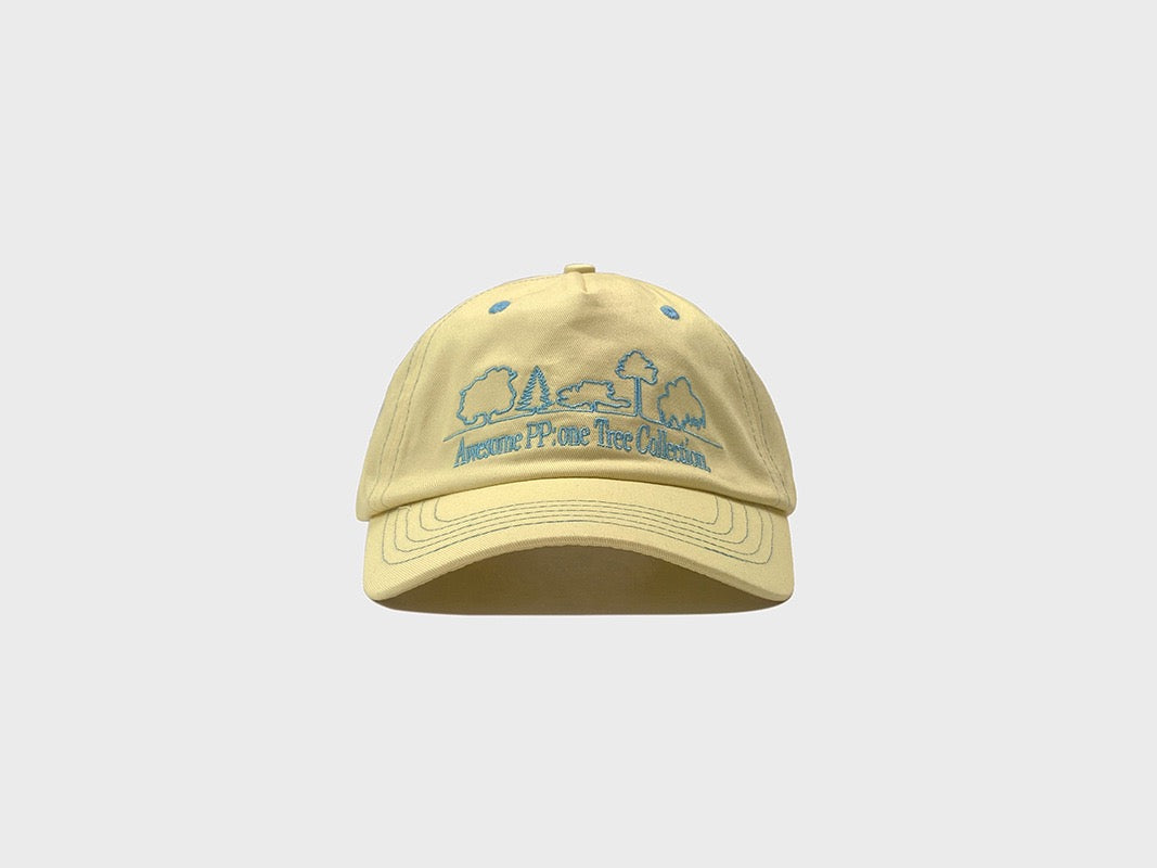 PP contrast stitch dad hat
