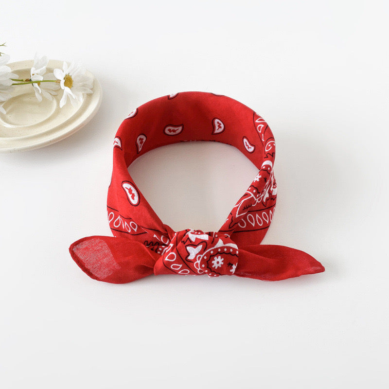 Unisex Paisley Headband