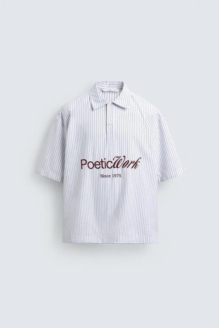 Zara stripe embroidered shirt