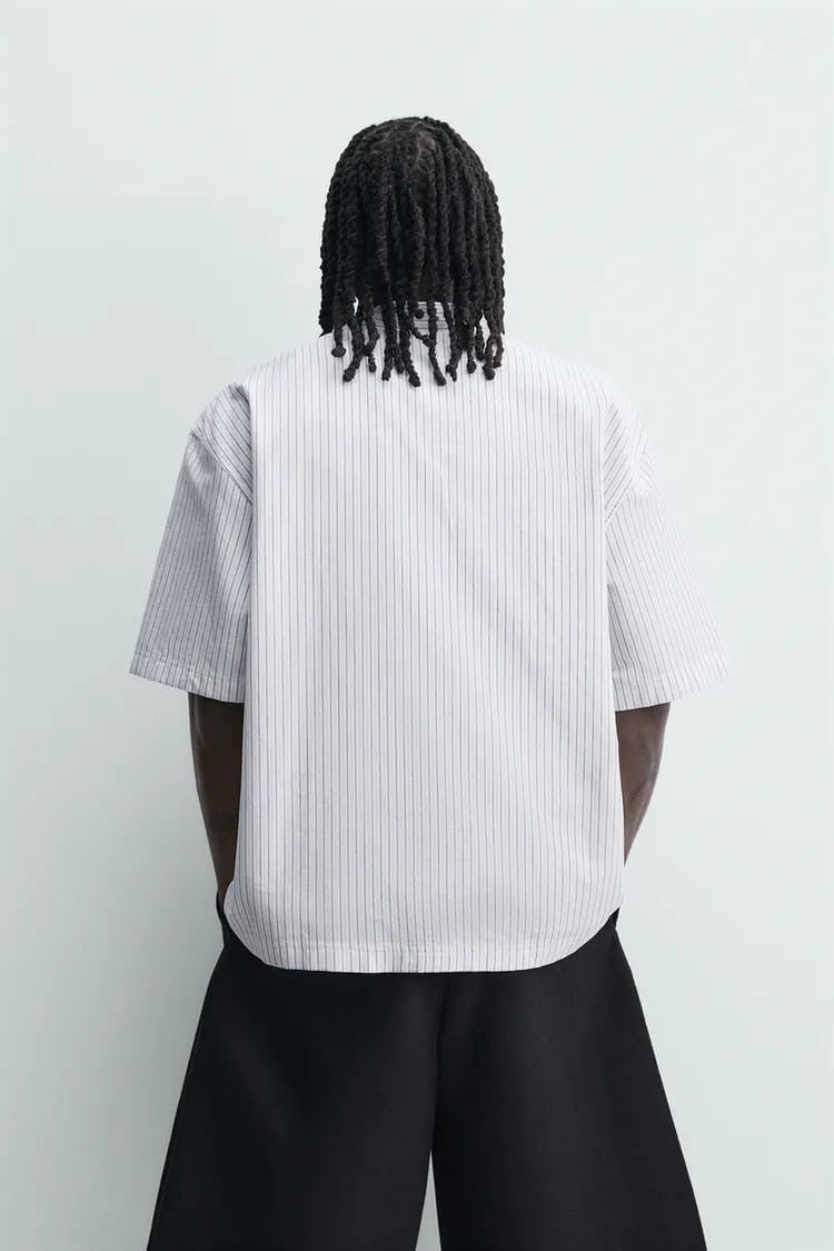 Zara stripe embroidered shirt