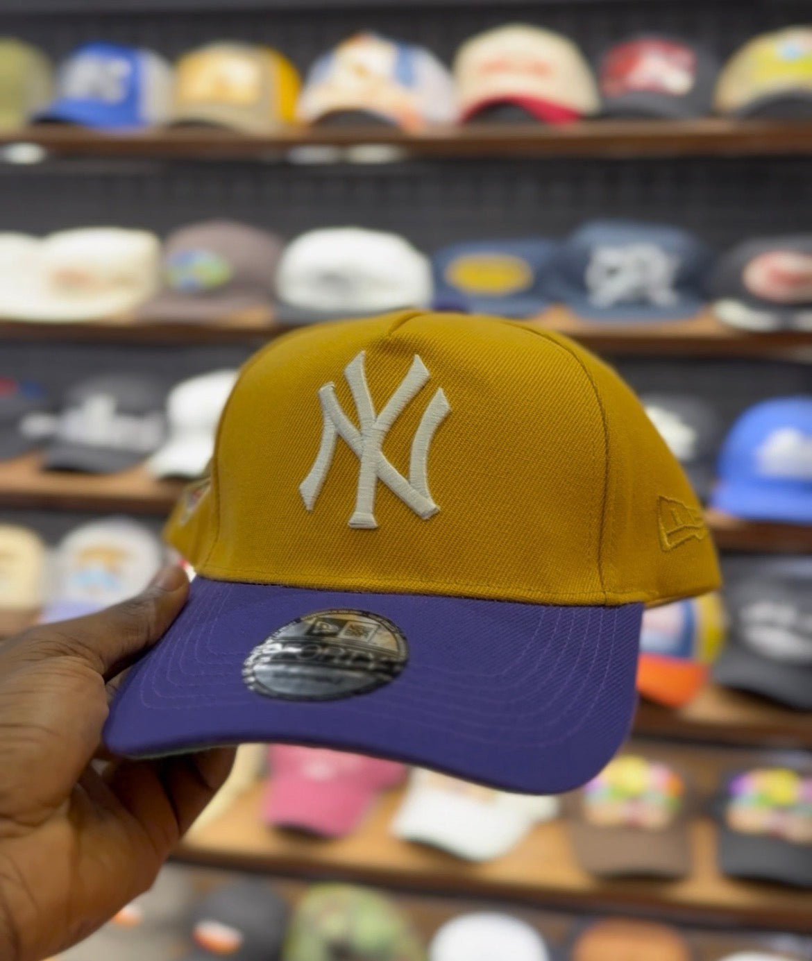 NY snapback joker