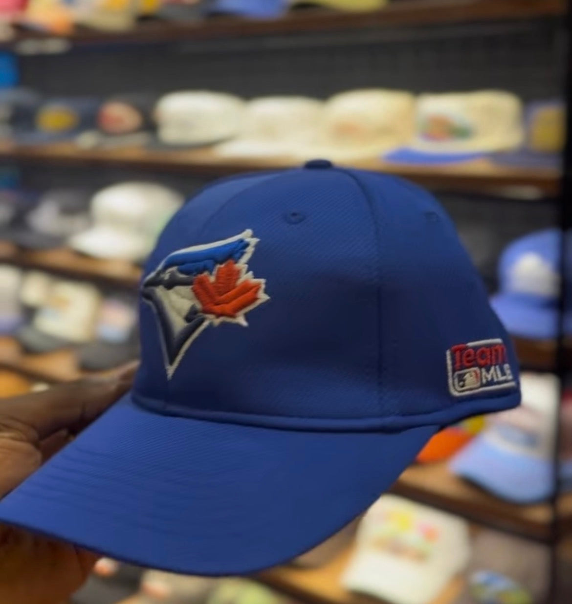 OC blue jays hat