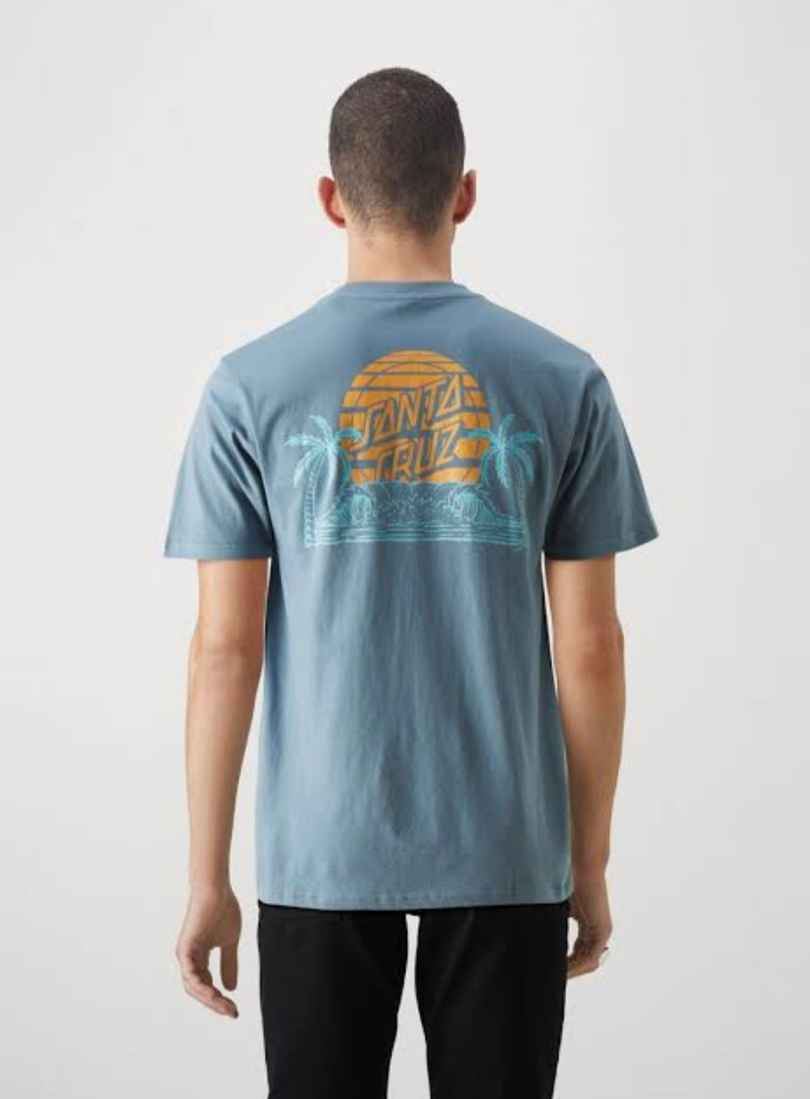 Santa Cruz SC palm tee in blue