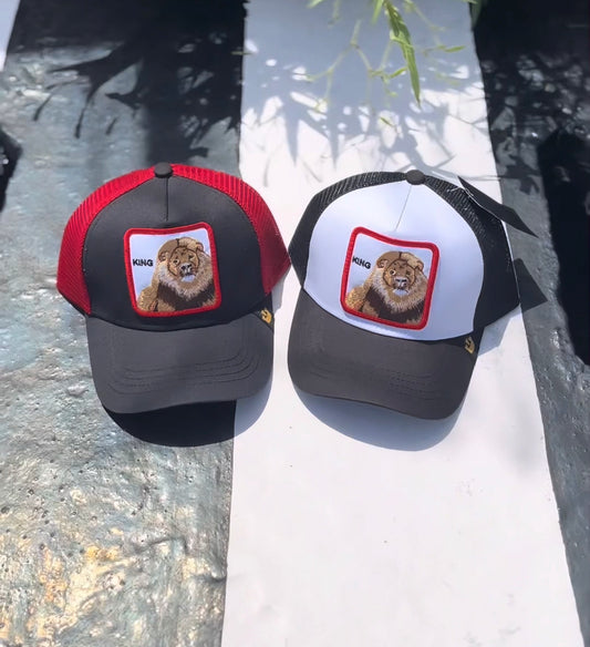 Goorin bros GB king trucker