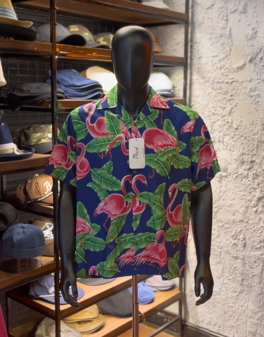 Alvish revere neck shirt
Flamingo